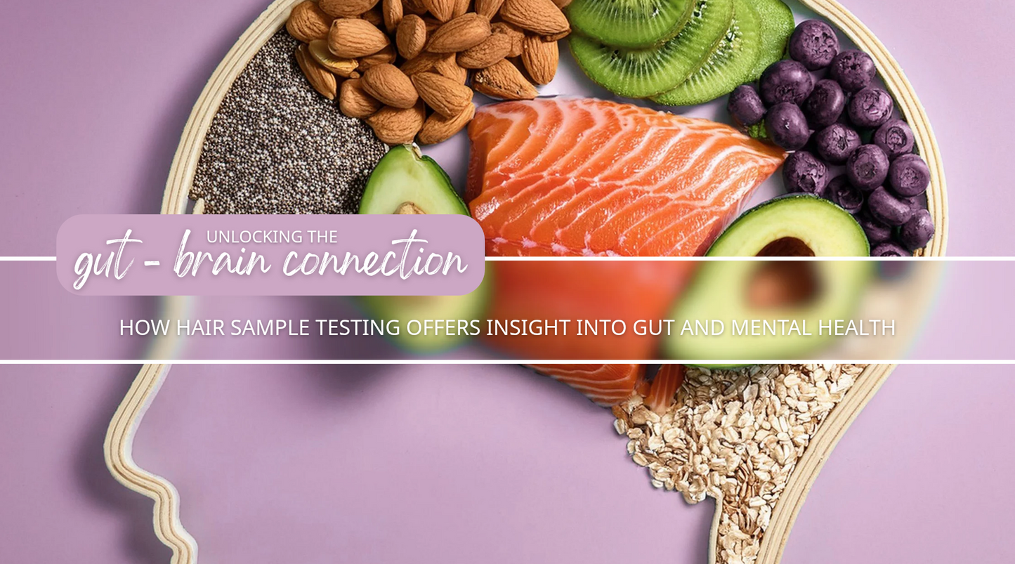 Unlocking the Gut-Brain Connection with Hair Sample Testing