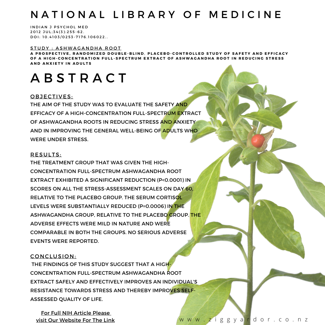 Happy Head Single Pack