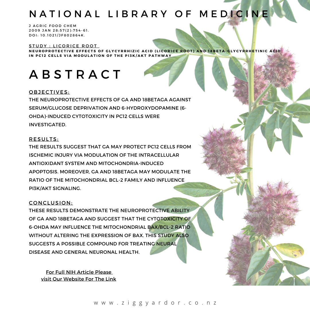 Happy Head Single Pack