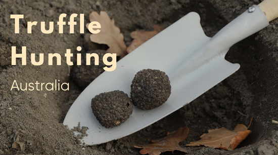 Truffle Hunting Australia